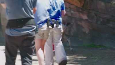 I feel very thankful
that he doesn't show
any aggression towards us - Secrets of the Zoo