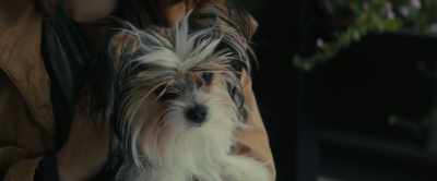 I felt a different feeling from Gloria.
Not angry. Sad. - A Dog's Journey