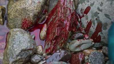I felt like,
in cutting my hand, - Edge of the Earth
