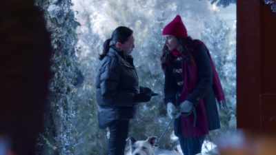 I filled out
the application, um, - The Dog Days of Christmas