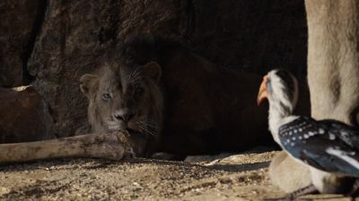 I was first in line - The Lion King