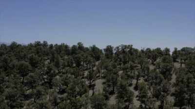 - I first knew something was wrong - Horror in the High Desert