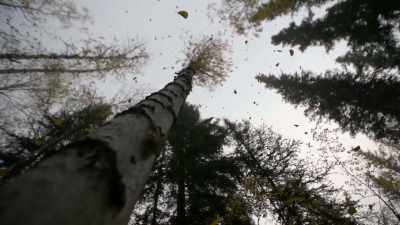 I follow my principles,
and this was no easy hunt, - Life Below Zero: Next Generation