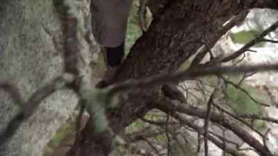 FORAGING IN THE MINE WORKINGS
WAS WORTH THE RISK. - Man vs. Wild