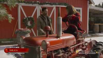 I forgot - Cranberry Christmas