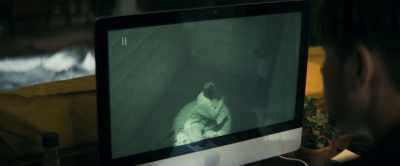 I fought the dev-- - Dear David