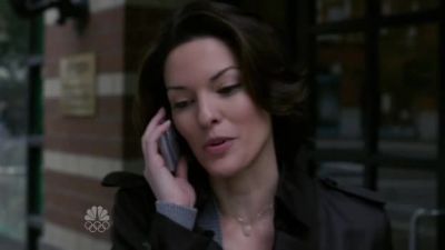 I found a half a dozen cases
on point, mike. - Law & Order