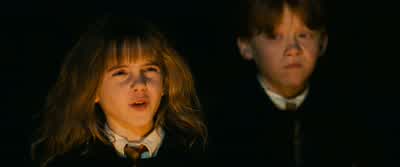 I found him! - Harry Potter and the Philosopher's Stone