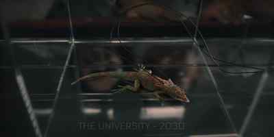 I found it on a beach in Cypress. - Resident Evil