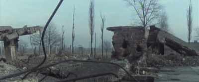 I found some candles,
what we call Jahrzeit, - Misha and the Wolves
