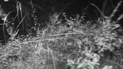 I found some things
that really make me questio - Expedition Bigfoot