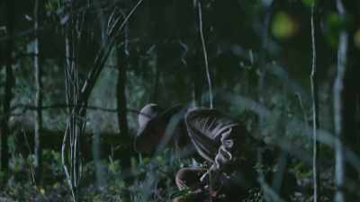 I found his tracks,
and I thought, - True Terror with Robert Englund