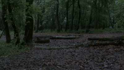 I found what had crawled up my leg.
That's a relief. - Blood Actually: A Murder, They Hope Mystery