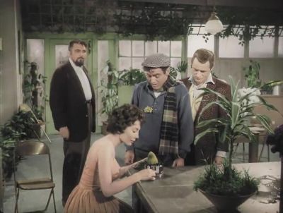 I gave it a name - The Little Shop of Horrors