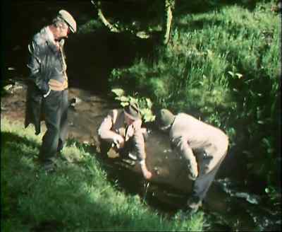 I get this buzzing in my ears. - Last of the Summer Wine