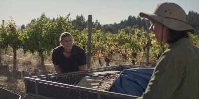 I get that everything has to
look good, - Under the Vines