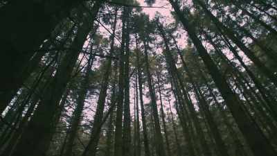 I get the feeling
of being so far away - Murder in the Badlands