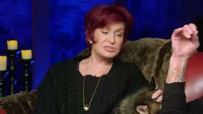 - I give that [bleep] all.
- [foghorn] - The Osbournes Want to Believe