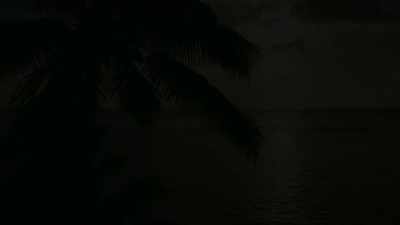# I give you bright light,
give you bright light. # - FBOY Island NZ
