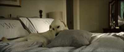 -I give up.
-♪ If you fall, I'll pick you up ♪ - Dog Gone