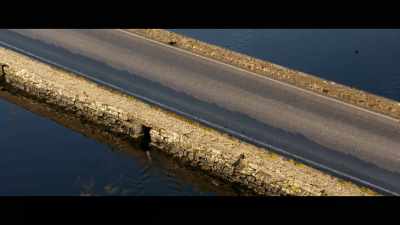 I was glad she had another
life beyond our life, - Billy & Molly: An Otter Love Story