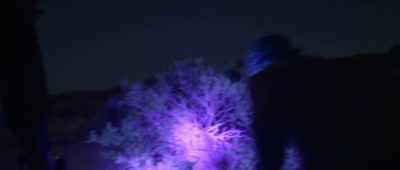 I go at night
and I use the UV light, - Alien Worlds