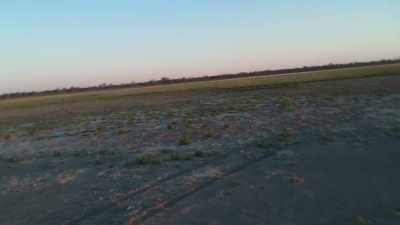 I was going to say, what is it?
What grass is it? - The Plains