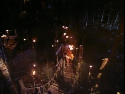     ( gong clanging )            - Survivor
