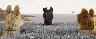I got adopted before I could - Isle of Dogs