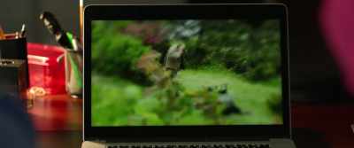 I got it all
on camera. Let's go see Tom. - The Healer