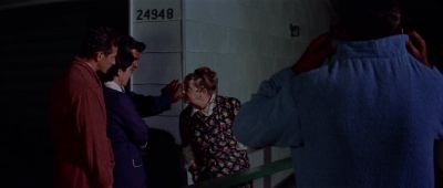 I got an eye for things like this - Gidget