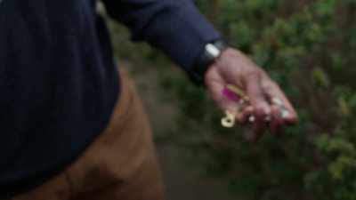 I got her car keys here." - New York Homicide