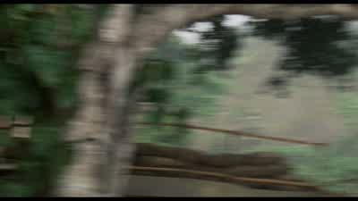 I got 'em. - Predator