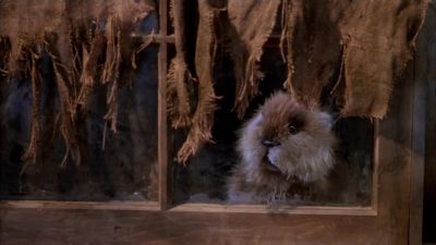 I got to get into this dude's pelt and crawl around for a few days - Caddyshack