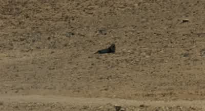 I got him. - The Hurt Locker