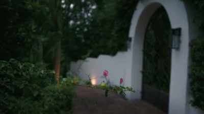 I got isolated in the house, - Phoenix Rising