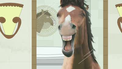 I got it! - BoJack Horseman