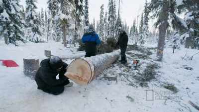 I got it marked out at
a ten-foot right here. - Life Below Zero: First Alaskans