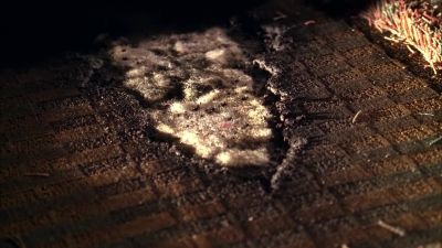 I got nothing. - CSI: Crime Scene Investigation