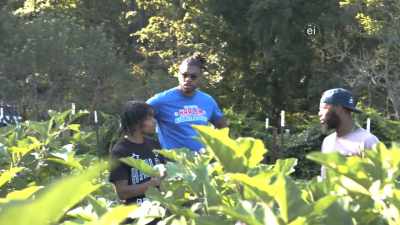 I GOT OKRA OVER THERE, SOME
MUSCADINE VINE. - Harlem Globetrotters: Play It Forward