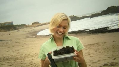 I got some seaweed - Birdemic: Shock and Terror