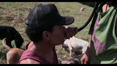 I got to Territorio... - Dogs