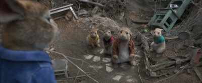 I got us into this, - Peter Rabbit