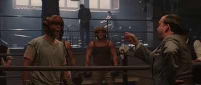 I got you another fight - Cinderella Man