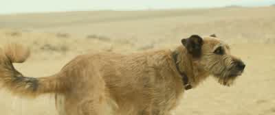 I got you. - Finch