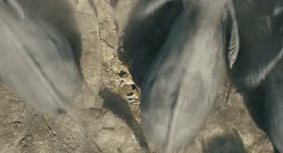 I got you. - Mufasa: The Lion King