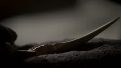 I got your message. - The Originals