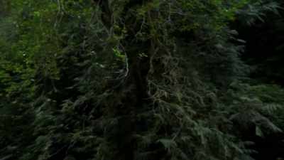  I gotta call Bryce
  on the SatLink. - Expedition Bigfoot