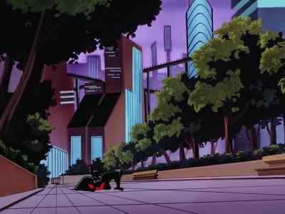 I gotta get me one of those swords. - Batman Beyond