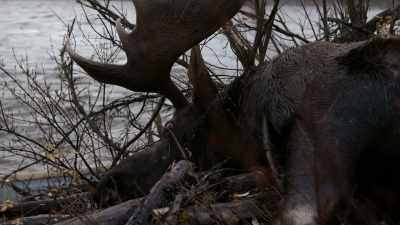 I gotta get to processing. - Life Below Zero: Next Generation